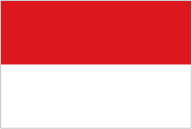 Salzburg Flag