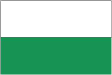 Styria Flag