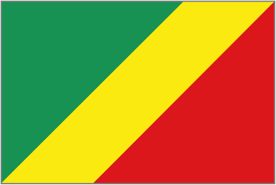 National Flag of Congo