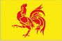 Walloon Region Flag