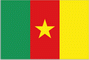 National Flag of Cameroon