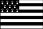 Brittany Flag