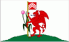 Cardiff Flag