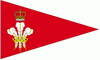 Royal Norfolk and Suffolk Yacht Club Burgee