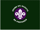 Scout Troop Flag