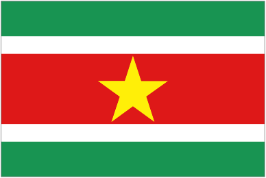 National Flag of Suriname
