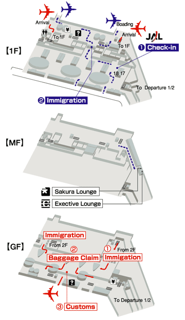 Terminals layout of airlines JAL in Amsterdam Schiphol International Airport