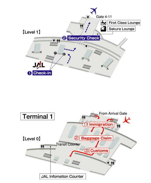Terminals layout of airlines JAL in John F. Kennedy International Airport
