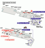 Terminals layout of airlines JAL in Denpasar Ngurah Rai International Airport