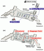 Terminals layout of airlines JAL in San Francisco International Airport