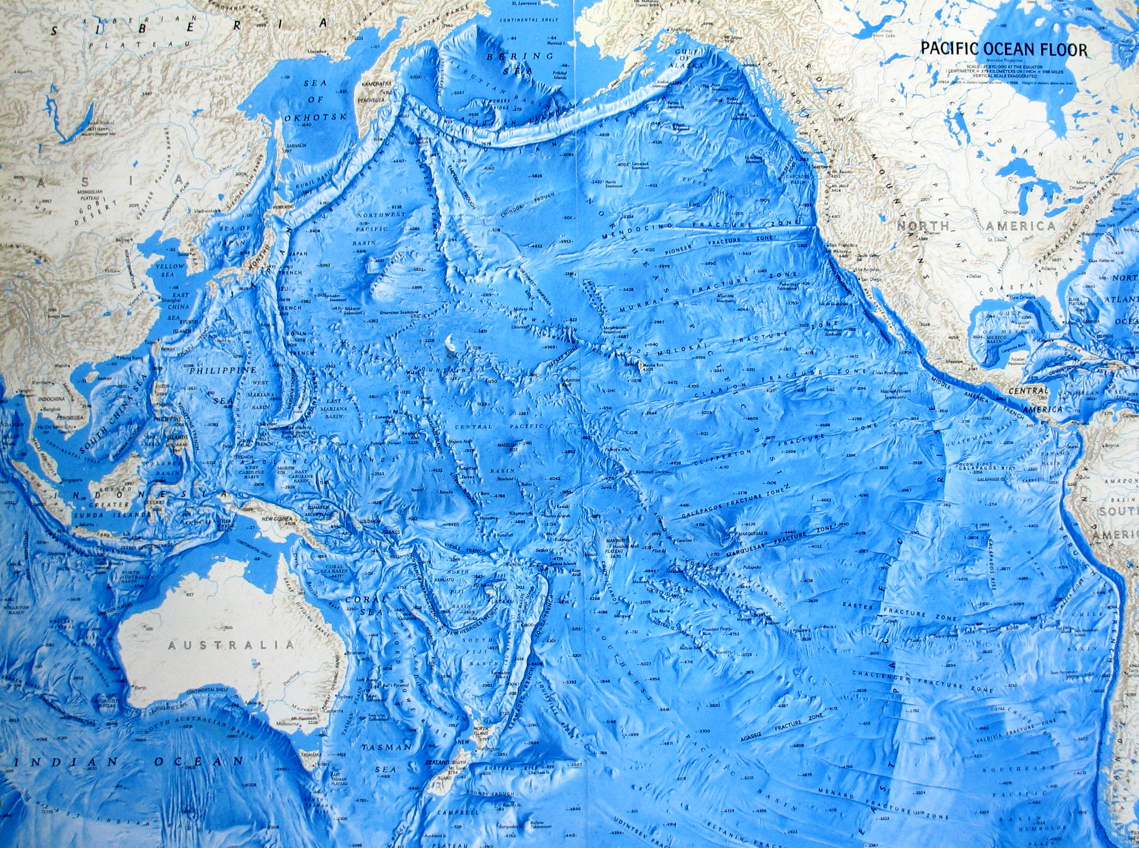 Map of relief of Pacific Ocean